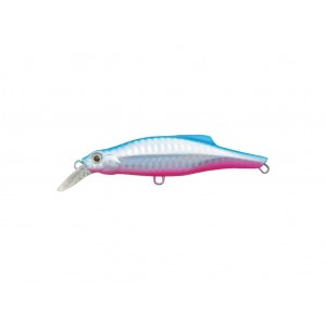 PINTAIL 35
